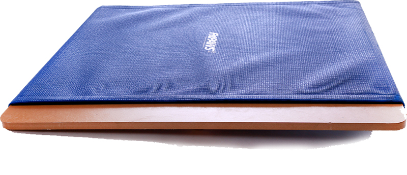 FitPAWS Giant Rocker Board